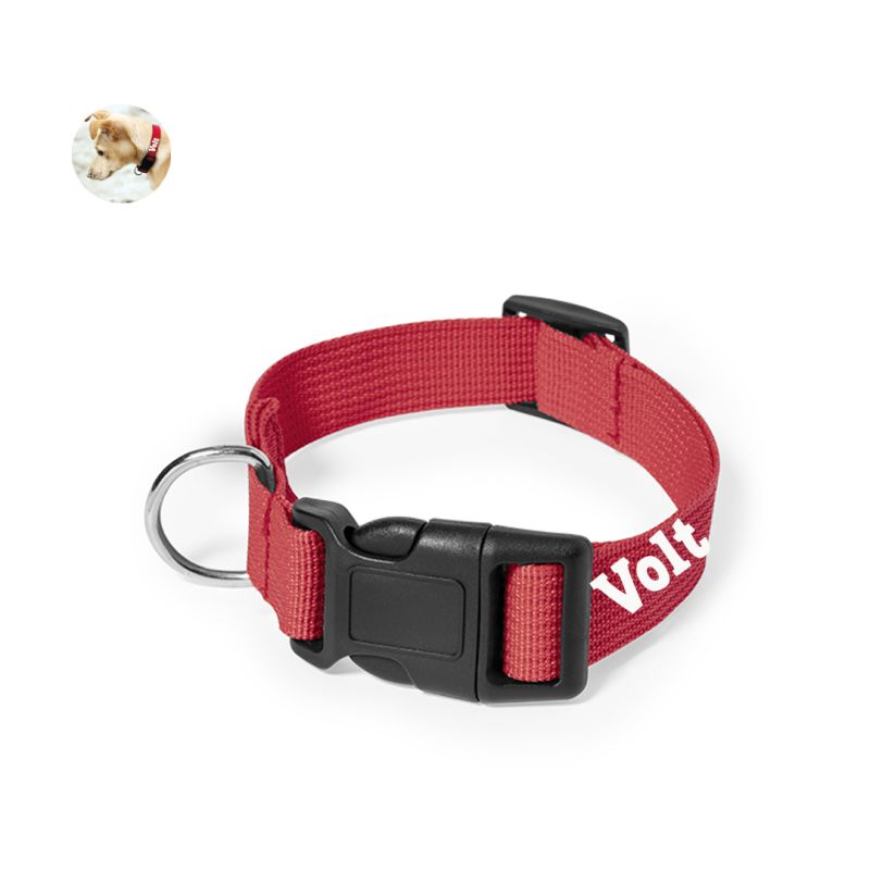 Collier pour chien personnalisé au prénom (5 couleurs)